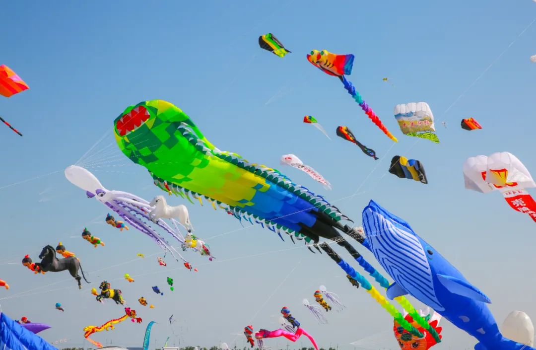 潍坊宝藏打卡地,潍坊旅游打卡必须去的地方