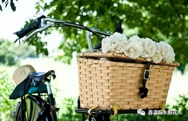 五年级我的心爱之物讲解,五年级我的心爱之物课文写玩具熊