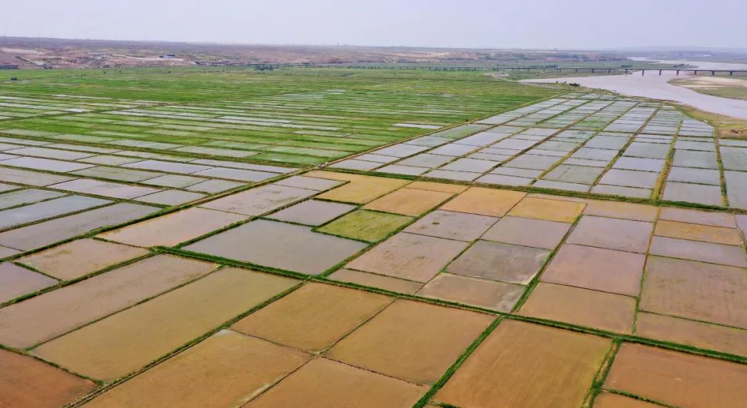 黄河文化黄河之水天上来,黄河水流到千里之外的塞上江南