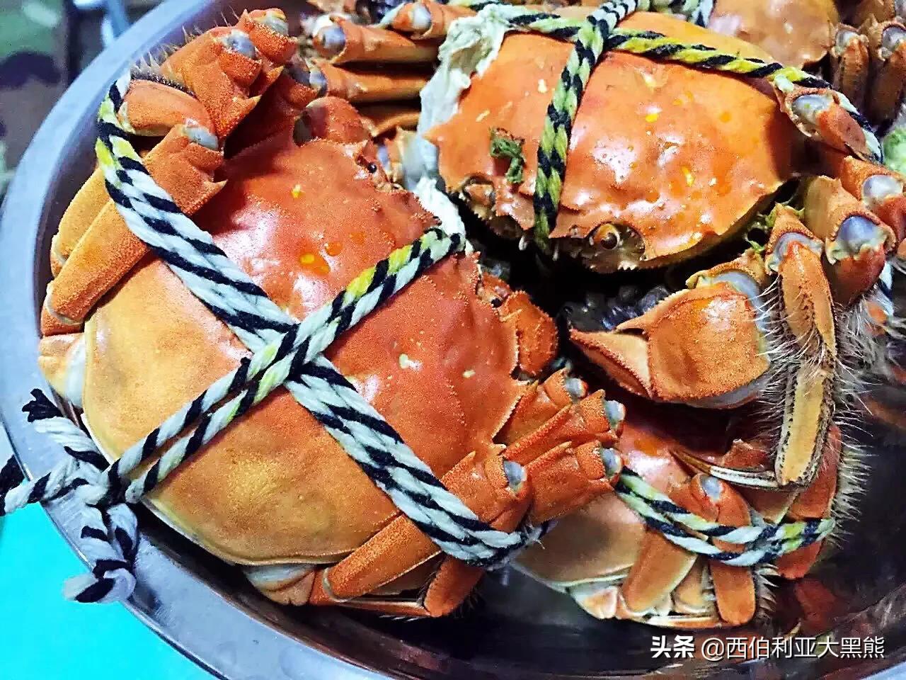 苏州诗意江南旅行,古风江南游记