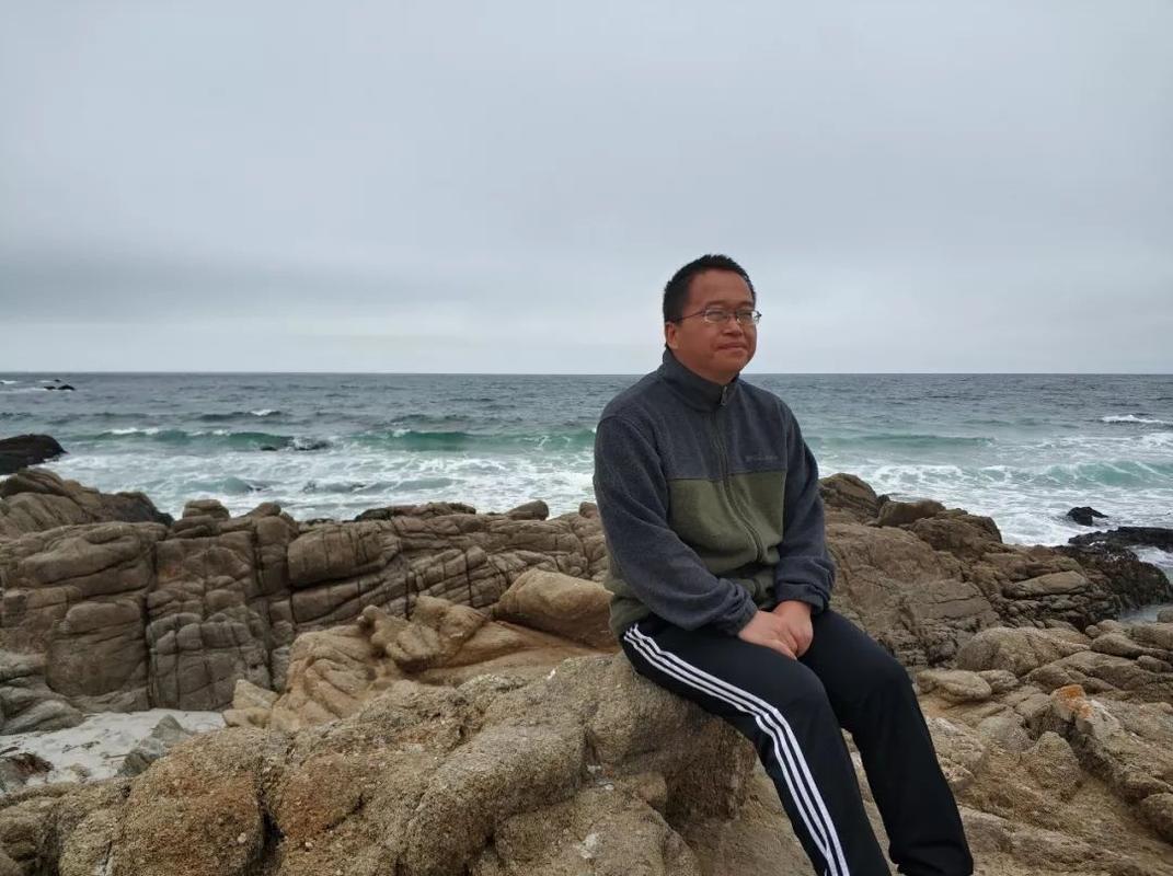 被美国诱捕的芯片专家有哪些,美国抓捕的科学家