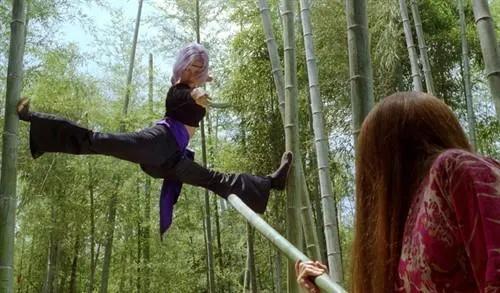 龙珠第一部武道会决赛,龙珠第一部最后一次武道大赛