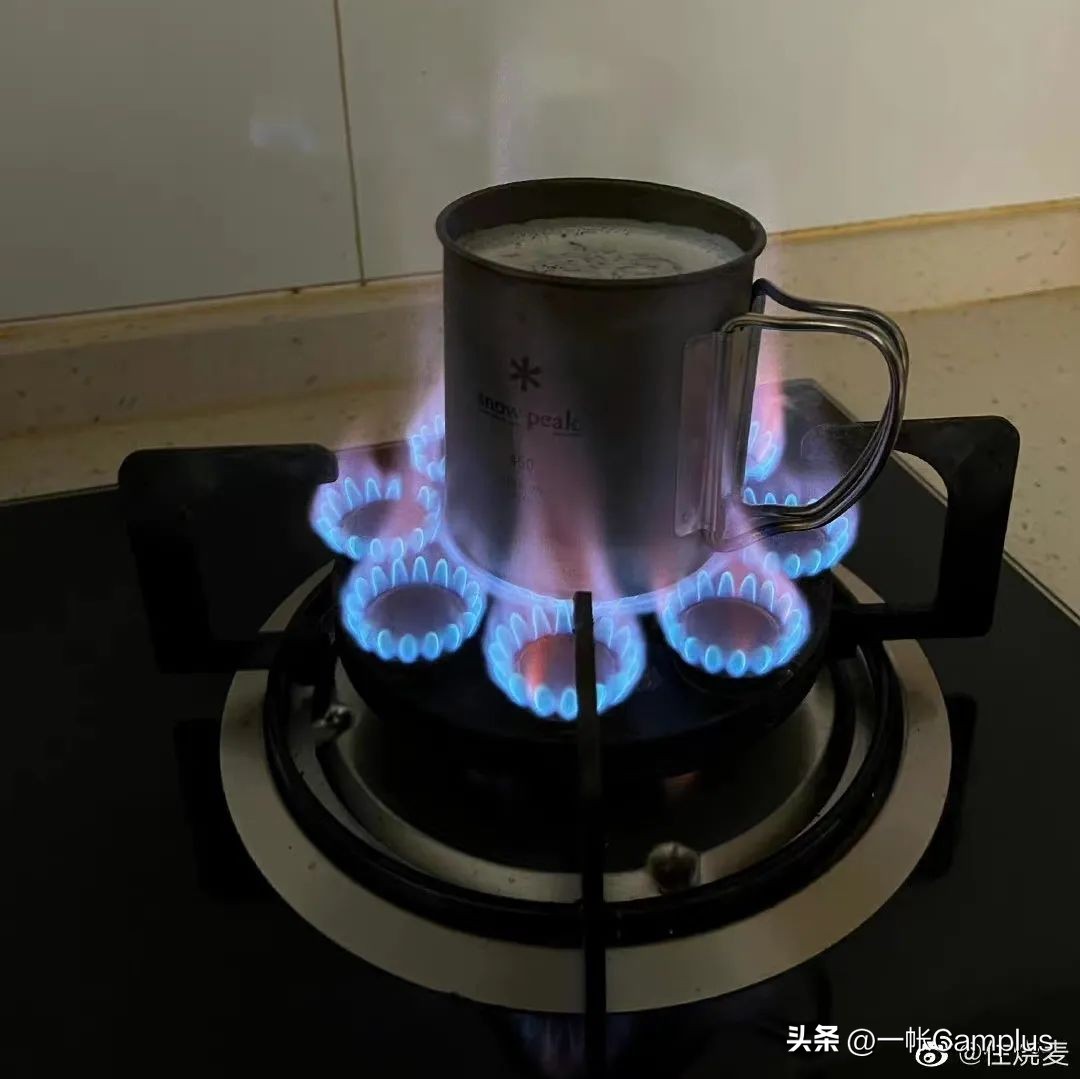 snowpeak发展史,snowpeak上海