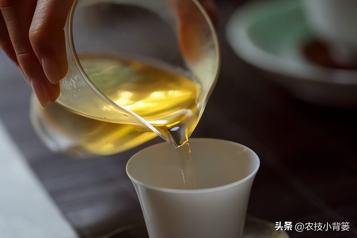 冬季喝茶健康常识,深冬喝茶这2种茶要多喝