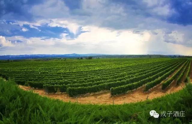 不忘初心继续前行方得始终,不忘初心继续前进攻坚克难