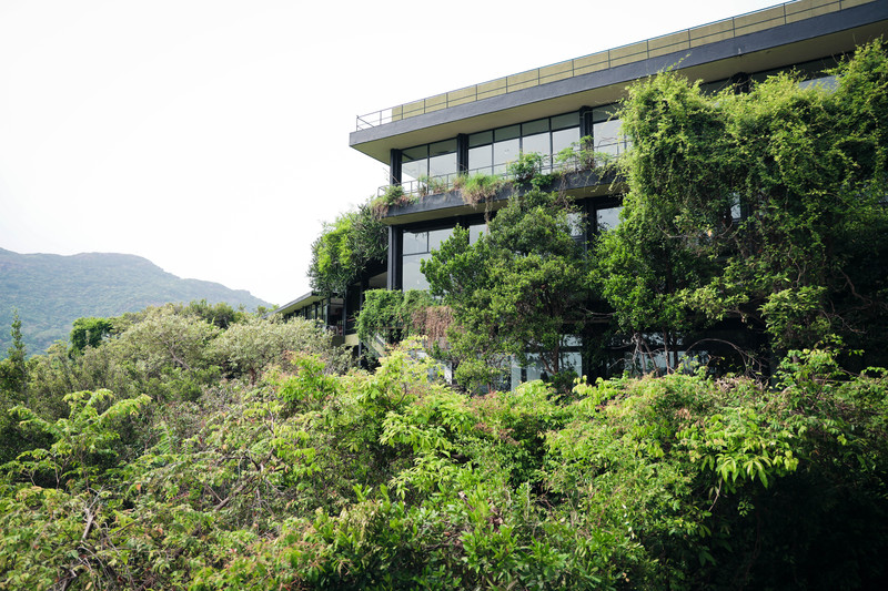 斯里兰卡旅游攻略必去景点,斯里兰卡旅游攻略最佳时间