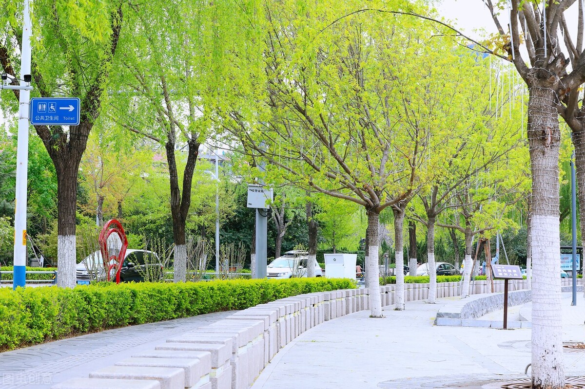 谁言寸草心报得三春晖的解释,谁言寸草心报得三春晖什么意思