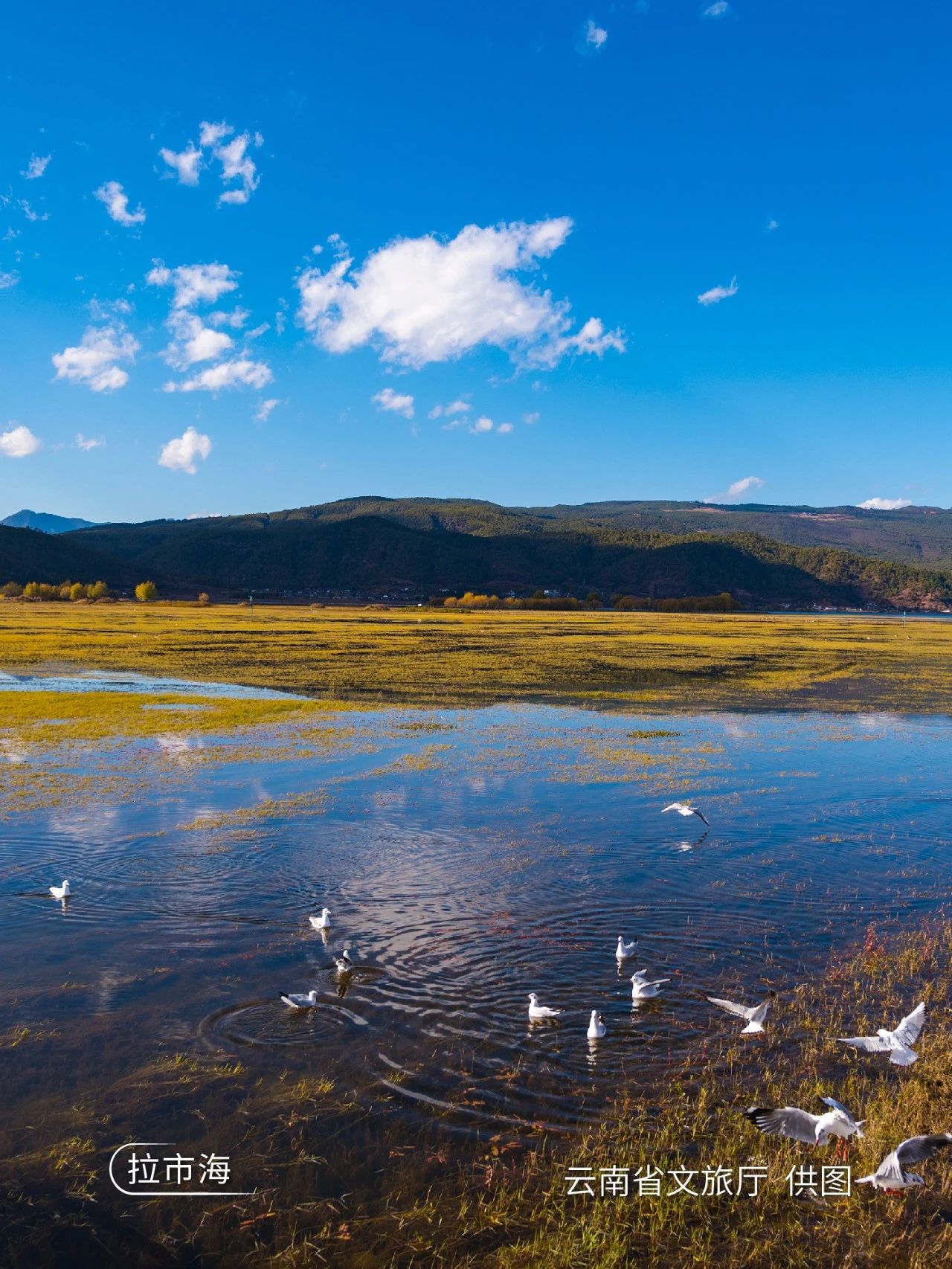 云南世界花园视频,云南世界花园