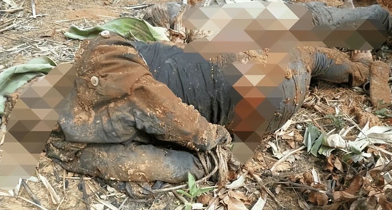 国人去缅北卖“人肉”，挂平台公然贩卖，竟然是“合法”的？