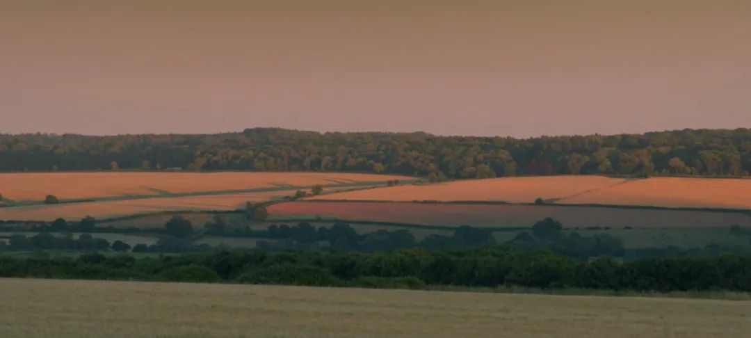 养猪养狗种田真人秀,真人秀十个男生种田