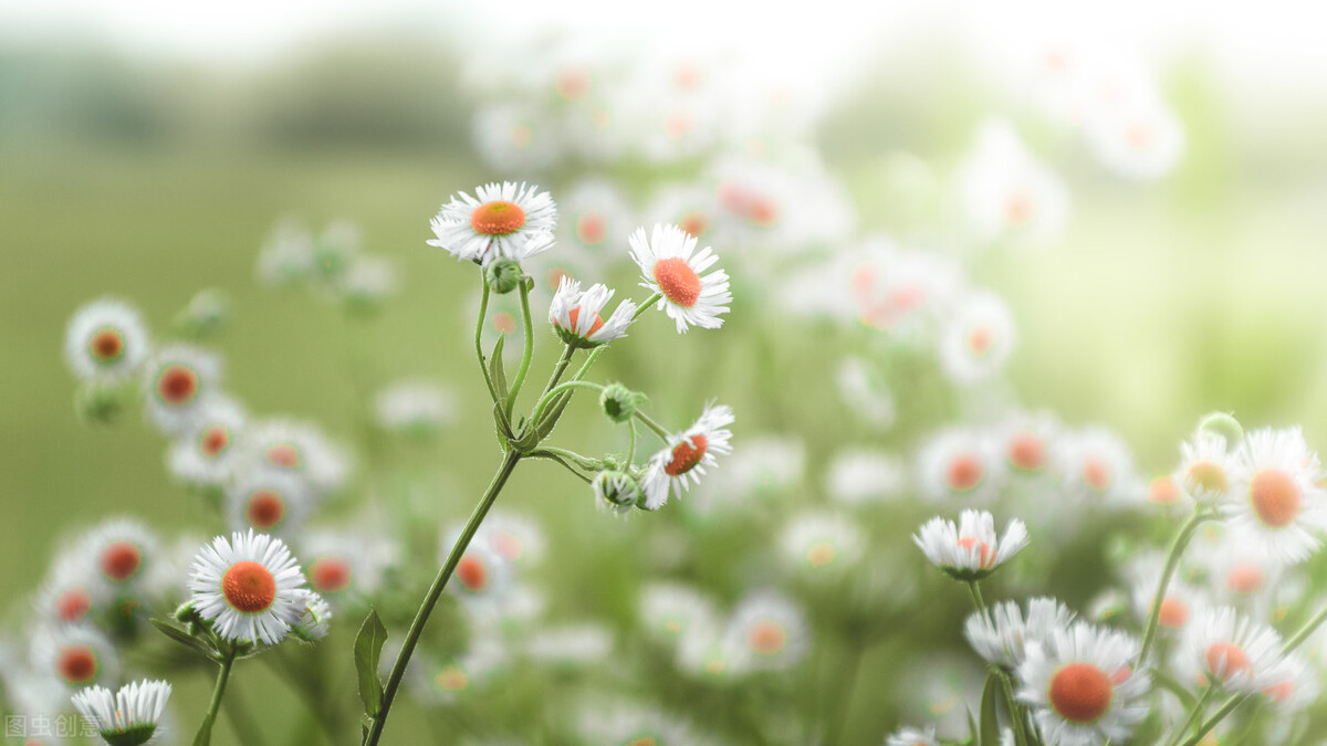 恋爱中如何让关系更进一步,如何快速跟人拉近距离