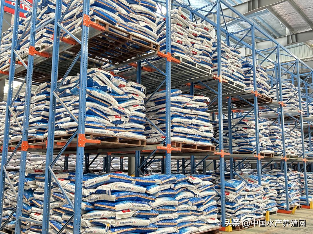 鲈鱼损失惨重,目前鲈鱼掉价的真正原因