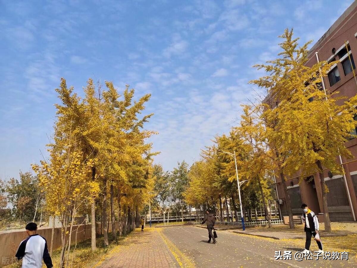 山东各地方学院,山东七所学院哪个好