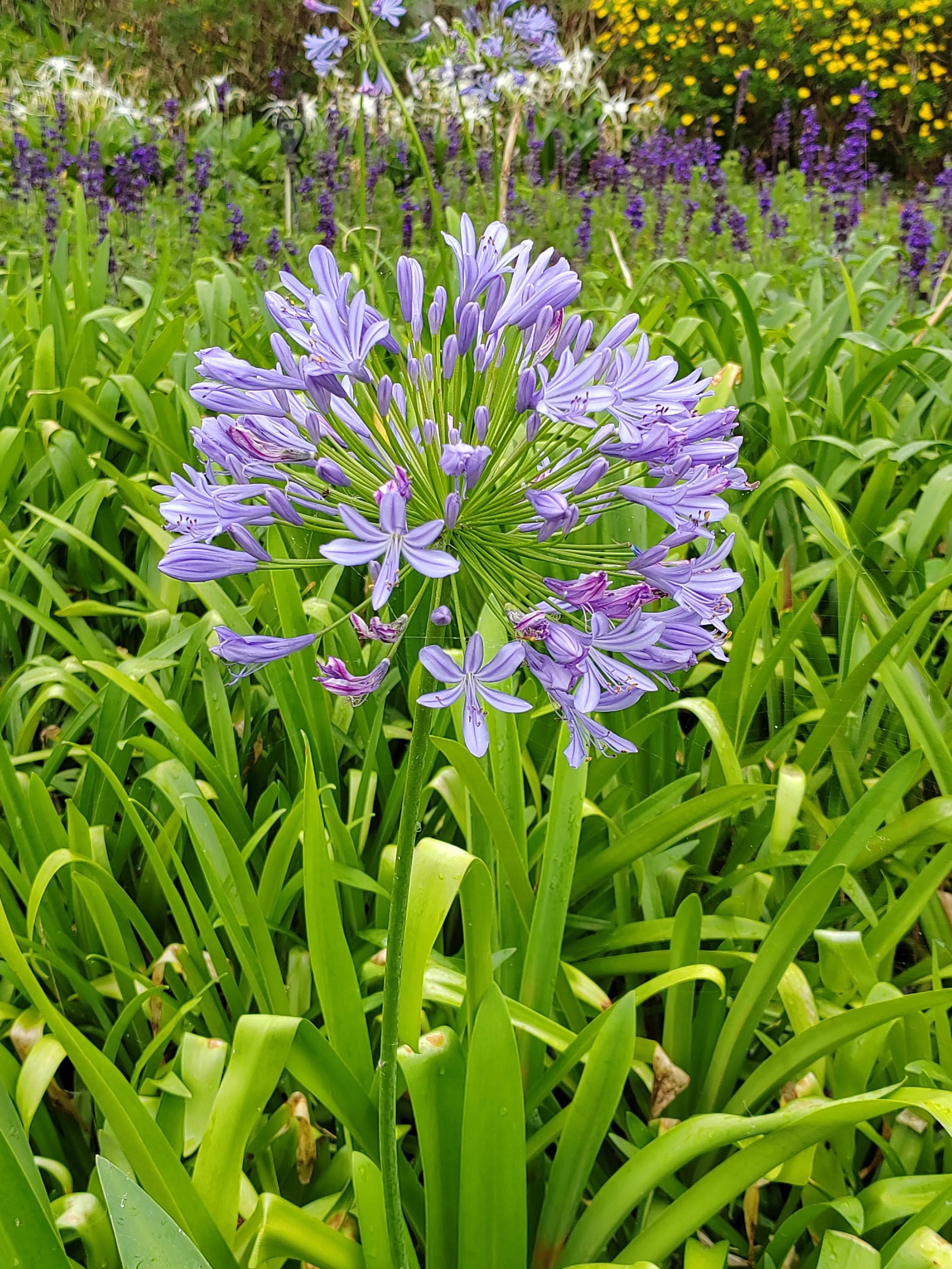 与春城昆明的再次邂逅，让这个盛夏有一抹清凉