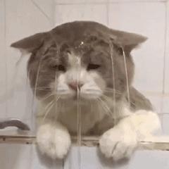 2023医疗险十大排行榜,5月最值得买的医疗险名单