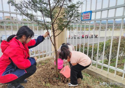 独山县城西童乐幼儿园:“春风十里,绿意萌动”