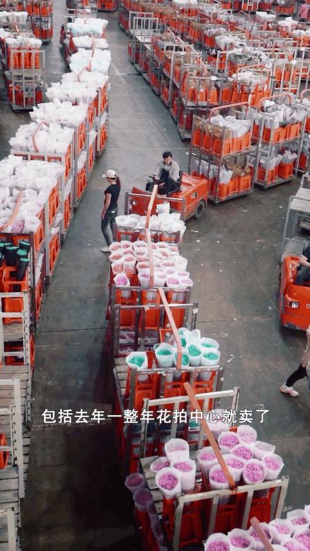 云南人考上清华北大,云南逆袭崛起