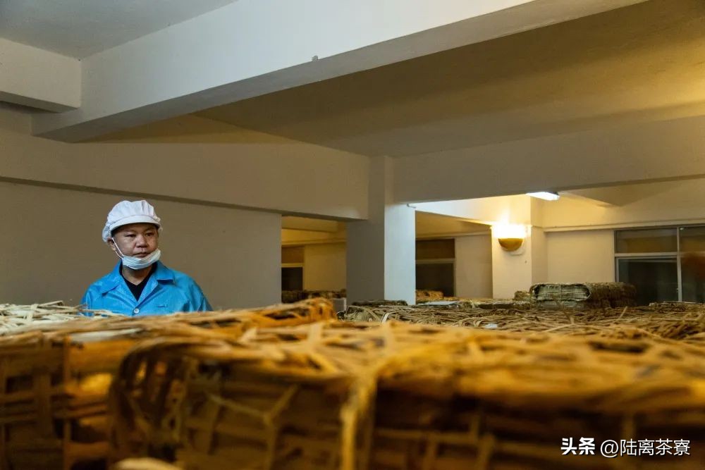 陈永堂与双陈普洱：深耕仓储，野望未来