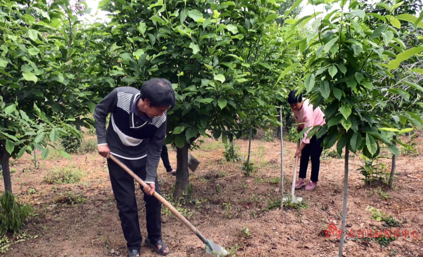 南阳市哪些县老百姓存钱多？内乡、西峡、淅川前三名