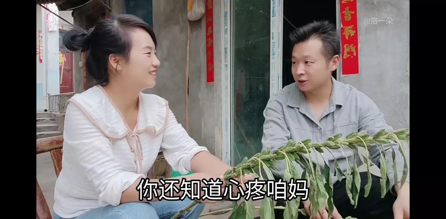 子奇妈给一朵钱买衣服，结果一朵买了化肥