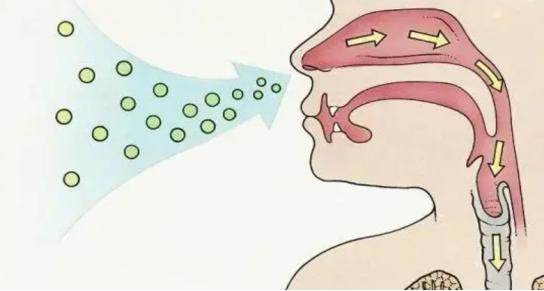 家里的蟑螂越来越多怎么消灭蟑螂,根除蟑螂有什么特效药和妙招