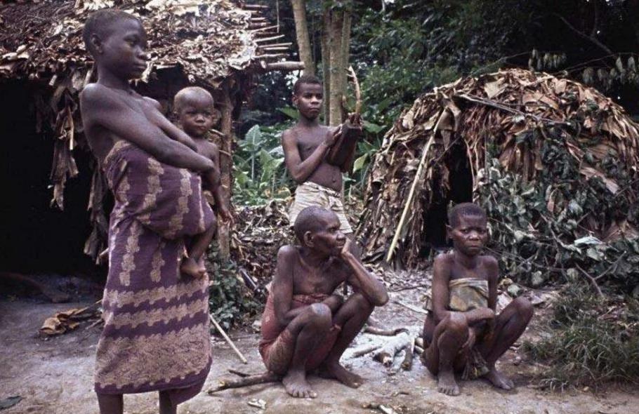 中国哪个民族平均寿命最短,世界上平均寿命最长的民族