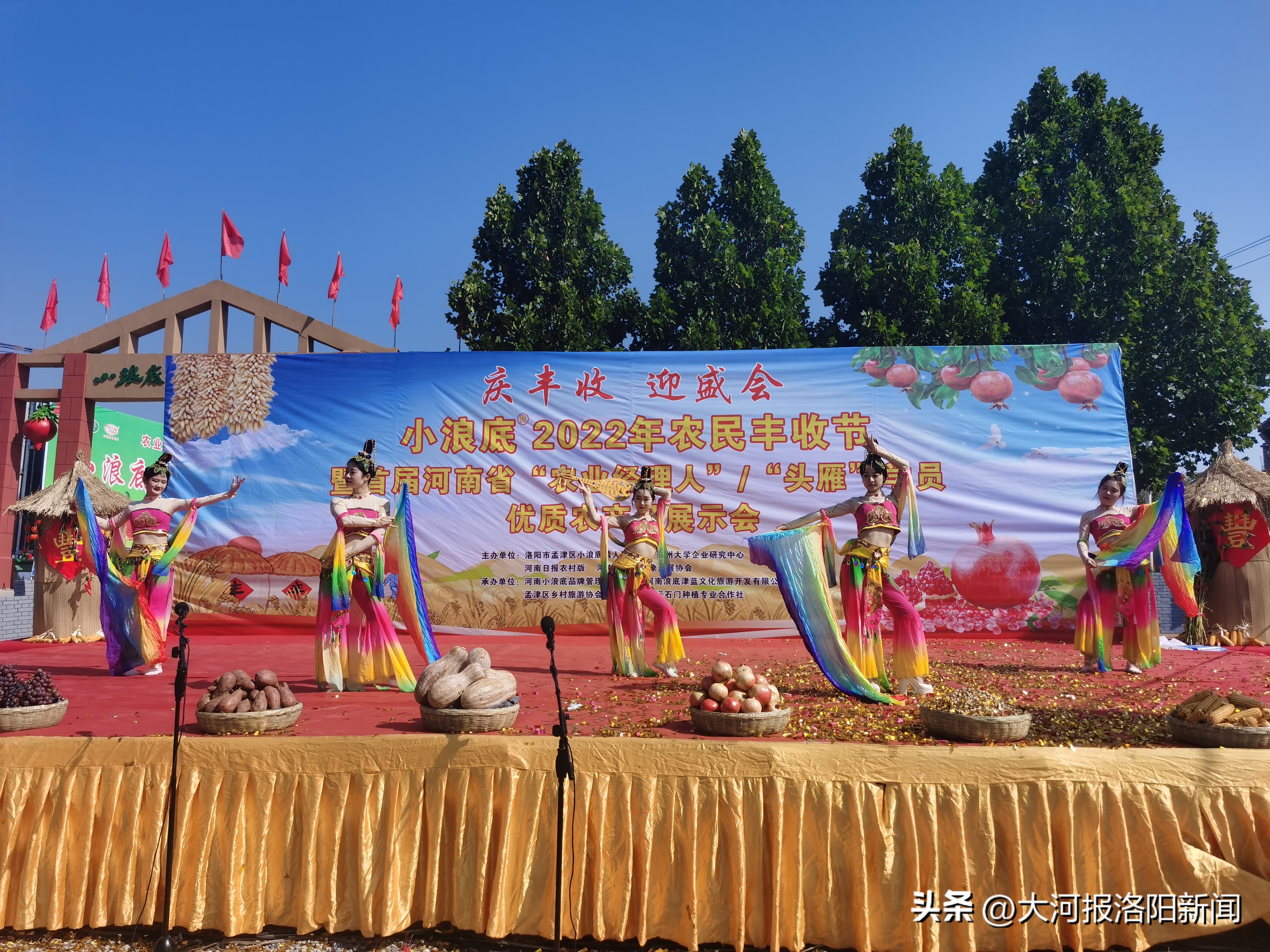 洛阳市孟津区小浪底镇软籽石榴上市,打造品牌助力乡村产业振兴