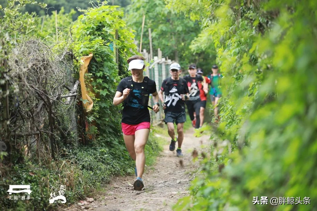 越野跑证书,越野跑成绩证书