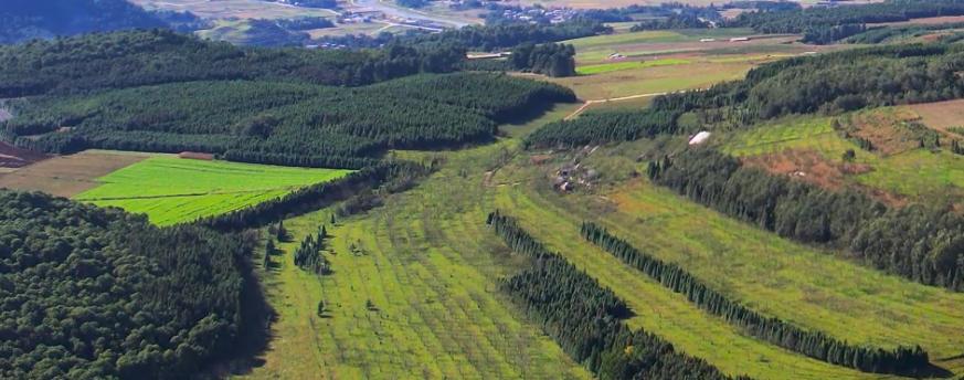 腾冲——高黎贡山下的“云药之乡”