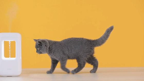 创意十足——冬季暖心小家电设计