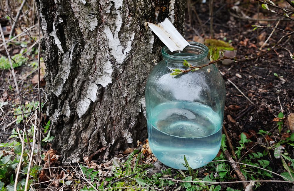 来到俄罗斯最不能错过的东西,俄罗斯的那些很奇怪的东西