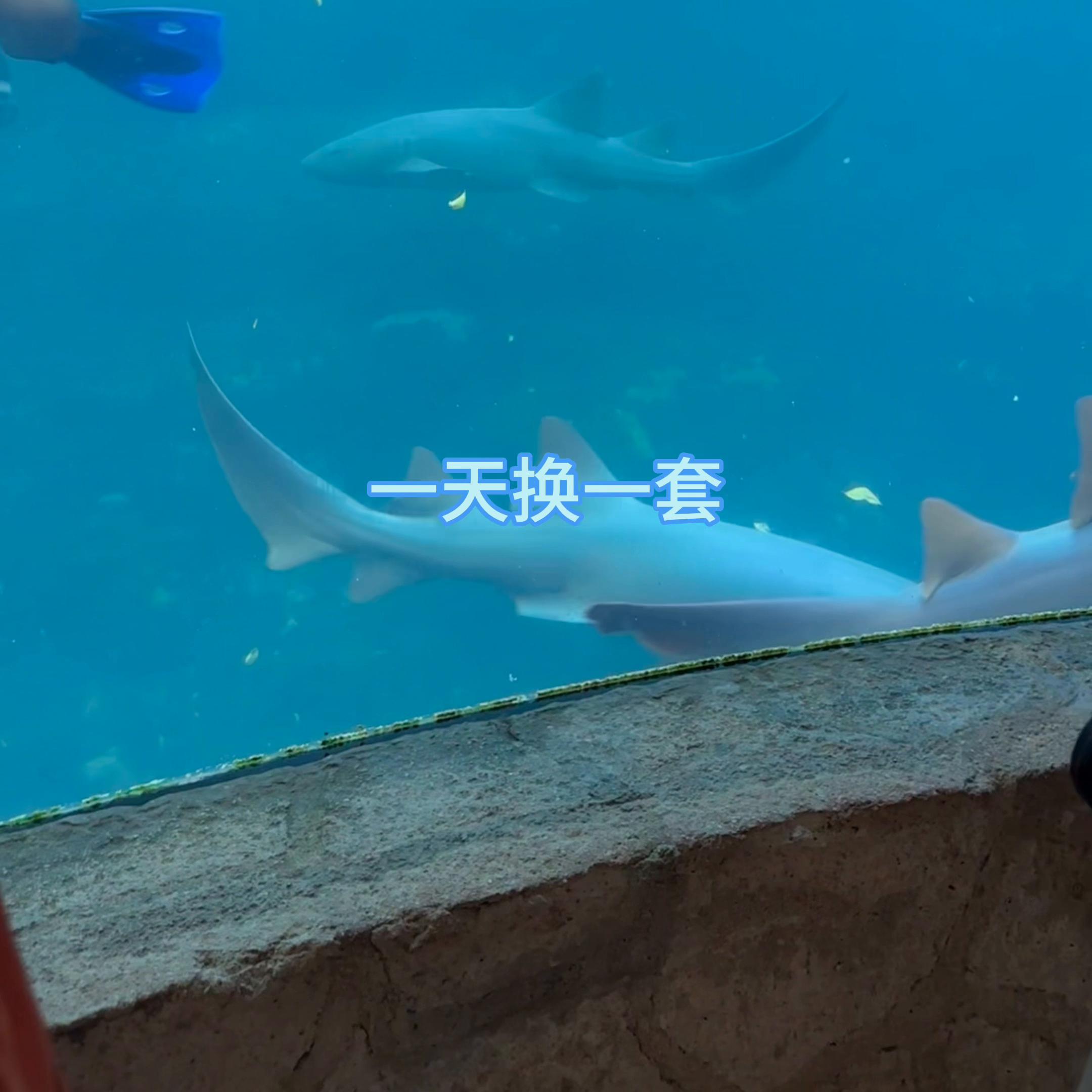 旅游胜地墨西哥坎昆高清4k,美国的后花园坎昆