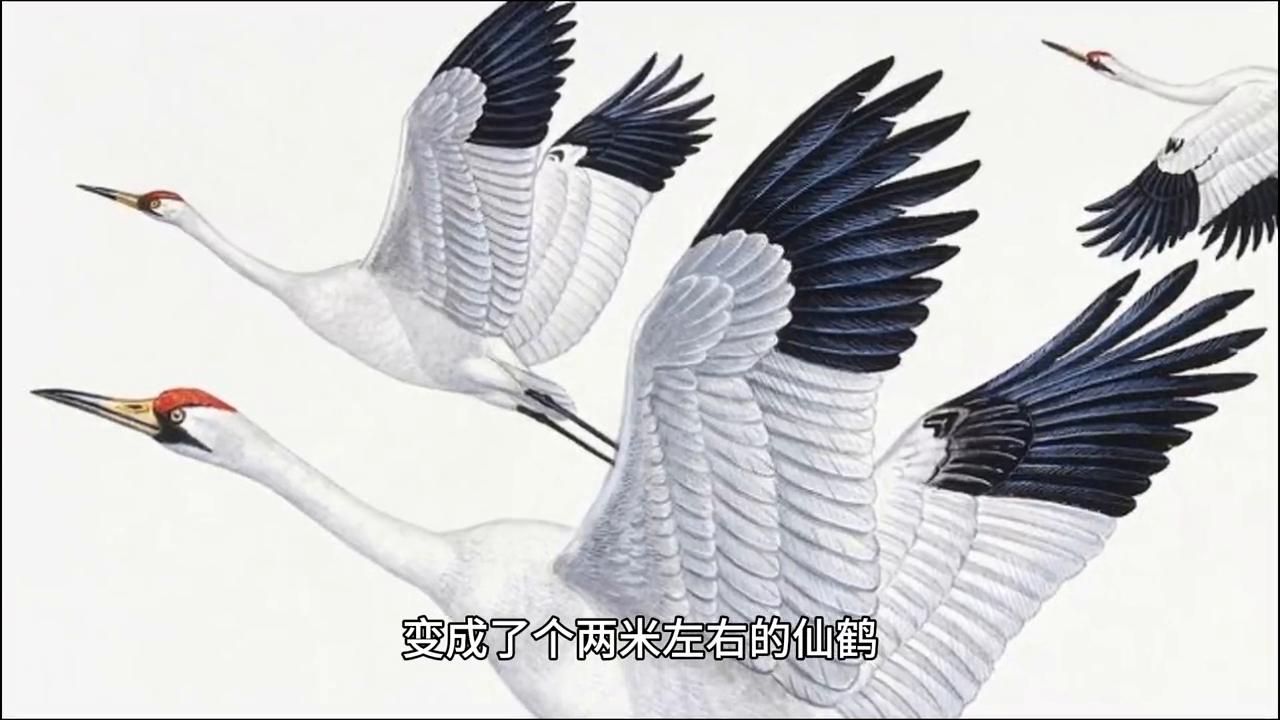 第5章这才是大变活人啊#推文超好看小说