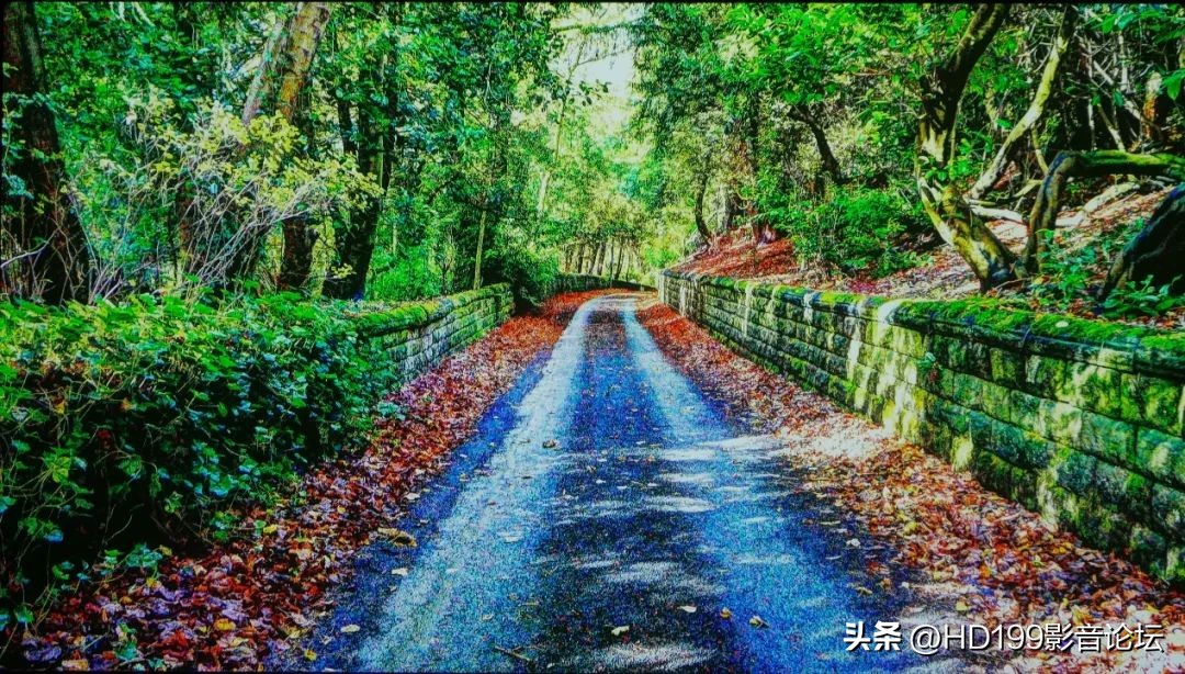 MAGNETARUDP8004K蓝光*放播**器开箱