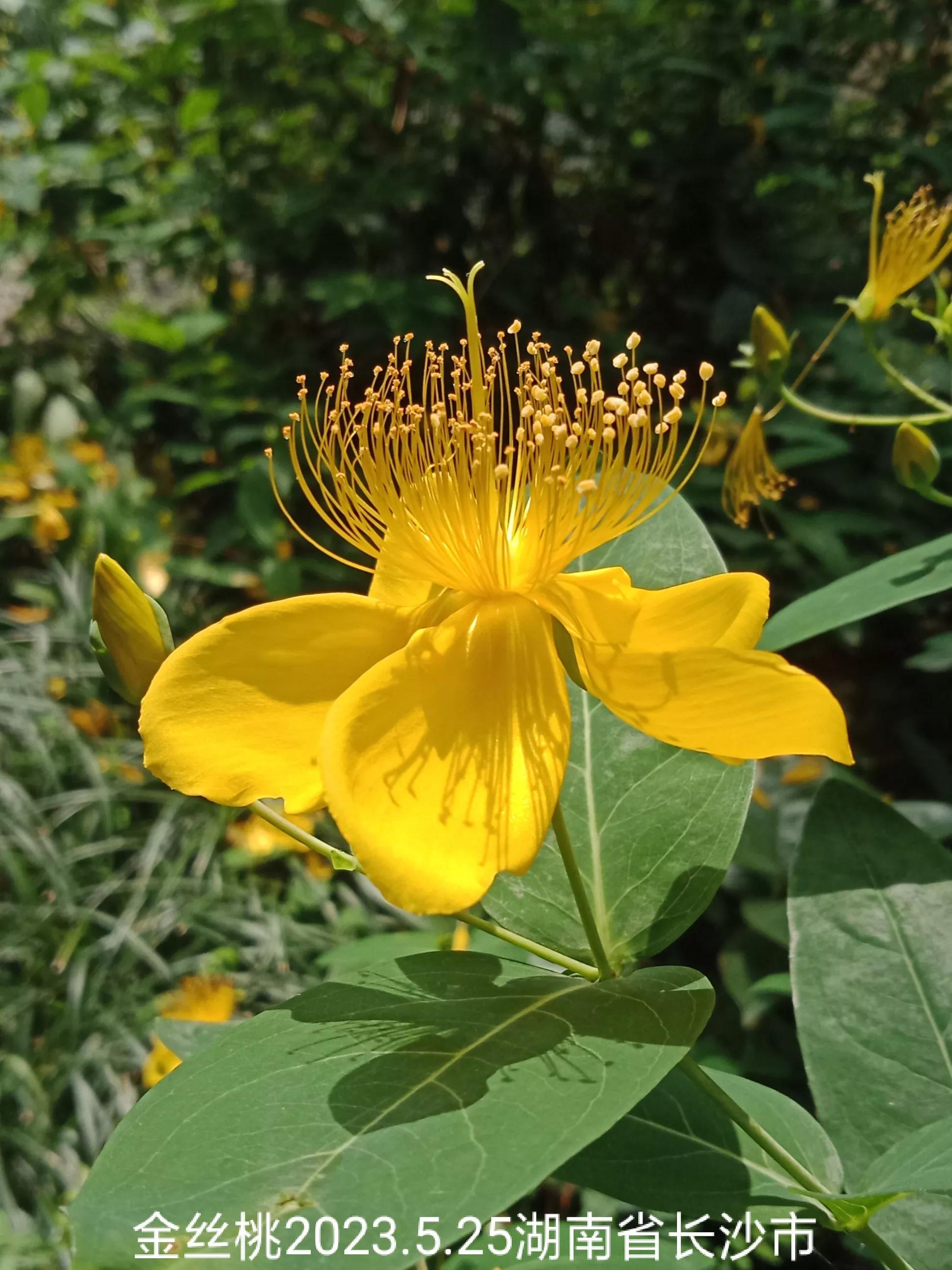 微信群忘保存找不到怎么办,怎么保存微信群里面的人