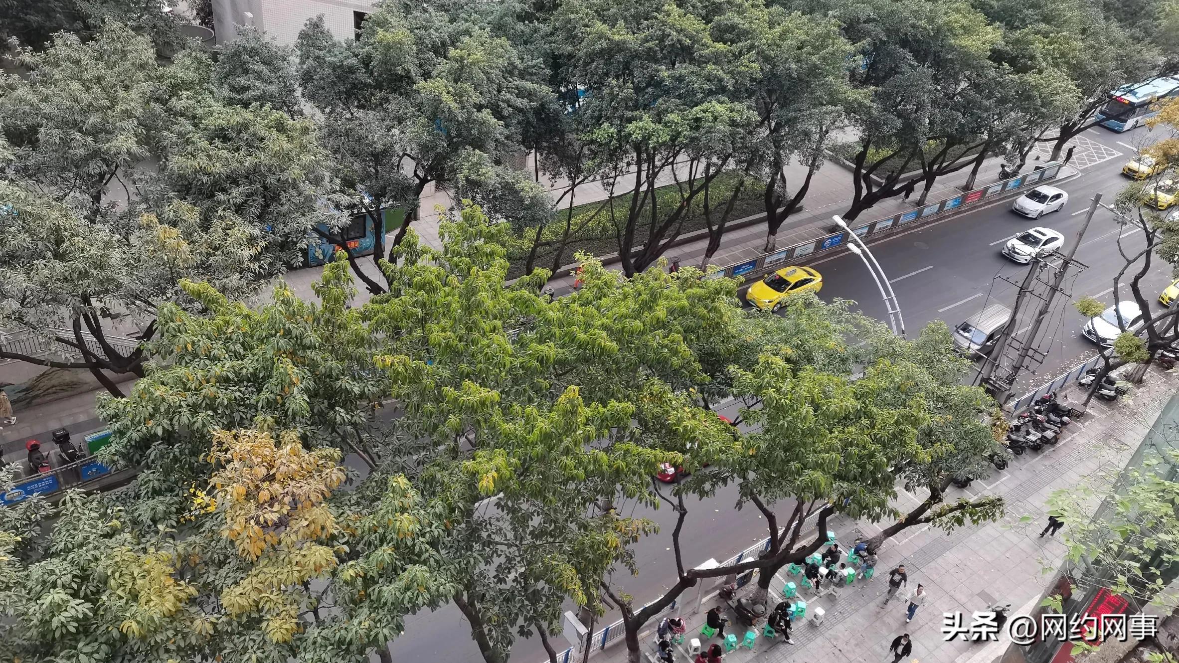 大庆私家车跑网约车,大庆私家车办理网约车手续