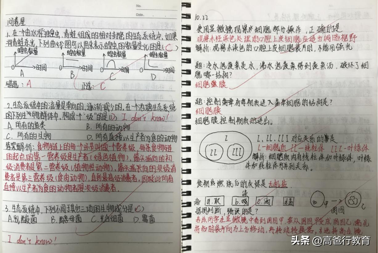 对于孩子的教育家长的反思,重视孩子注意力的培养家长反思