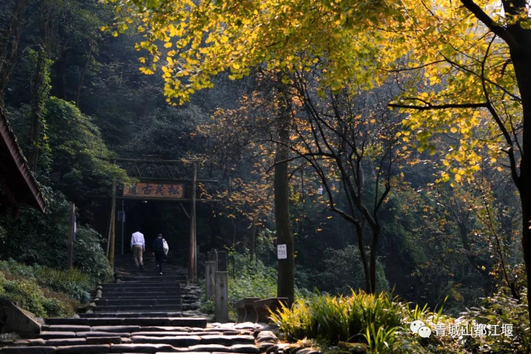 立冬气温仅13℃!快来领取都江堰专属的『入冬四件套』,品围炉暖食、享竹林温泉......成都1.5h直达~