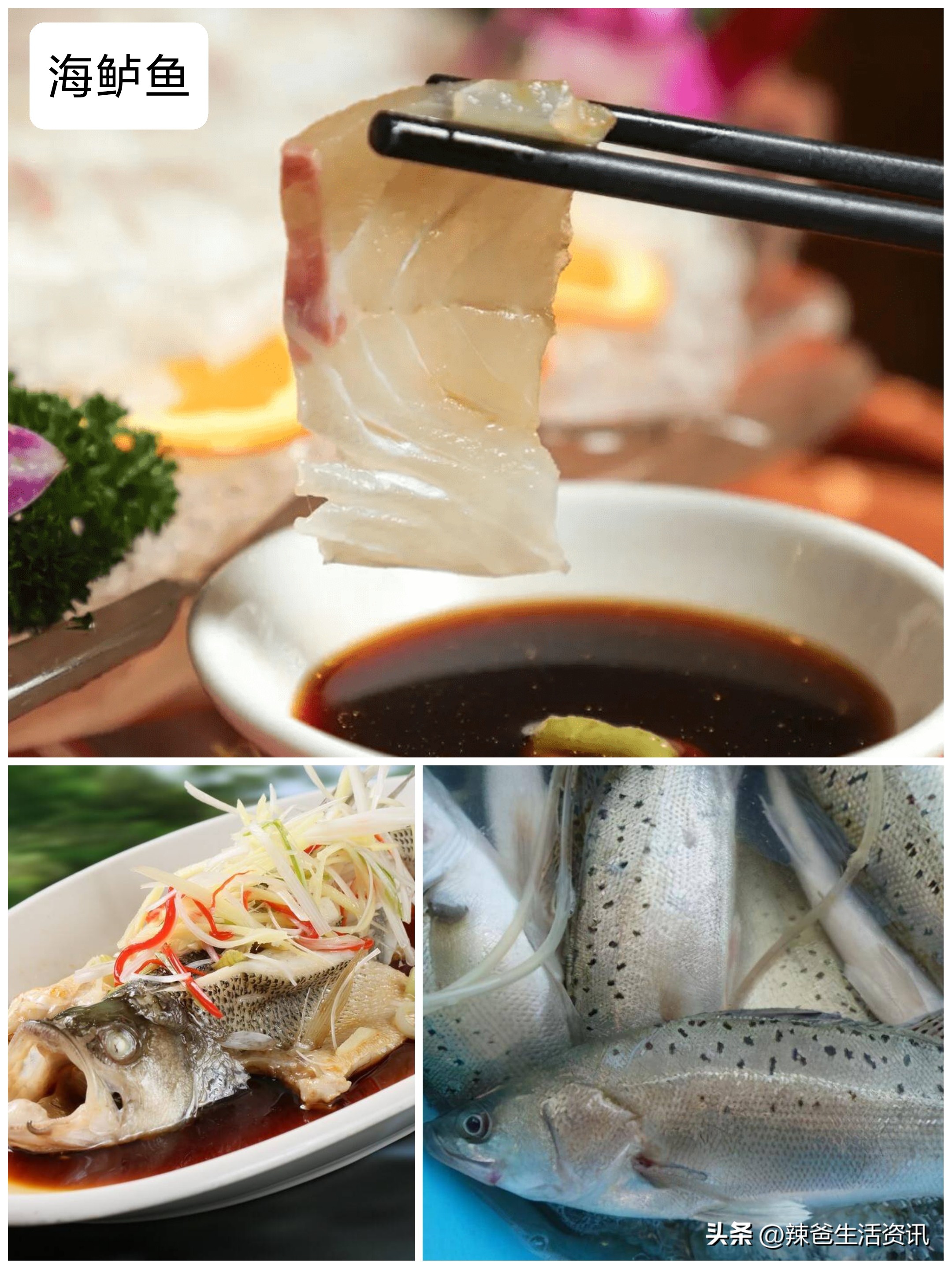 好吃的常见海鱼,比较好吃又便宜的海鱼有哪些