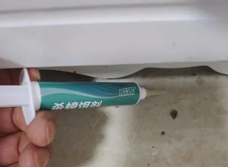 家里发现一只蟑螂怎么找到蟑螂窝,家里突然有蟑螂蟑螂是从哪里来的