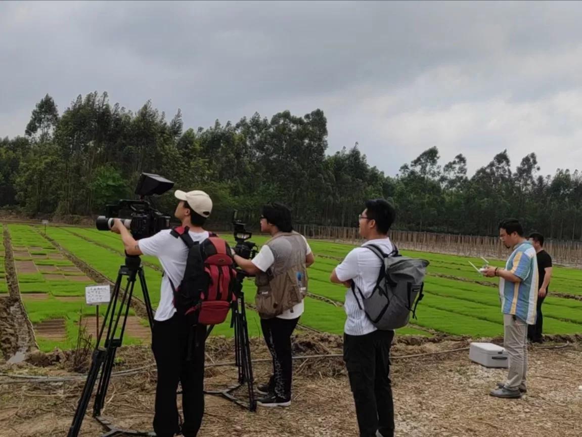 农联助力乡村振兴,联农助农乡村振兴