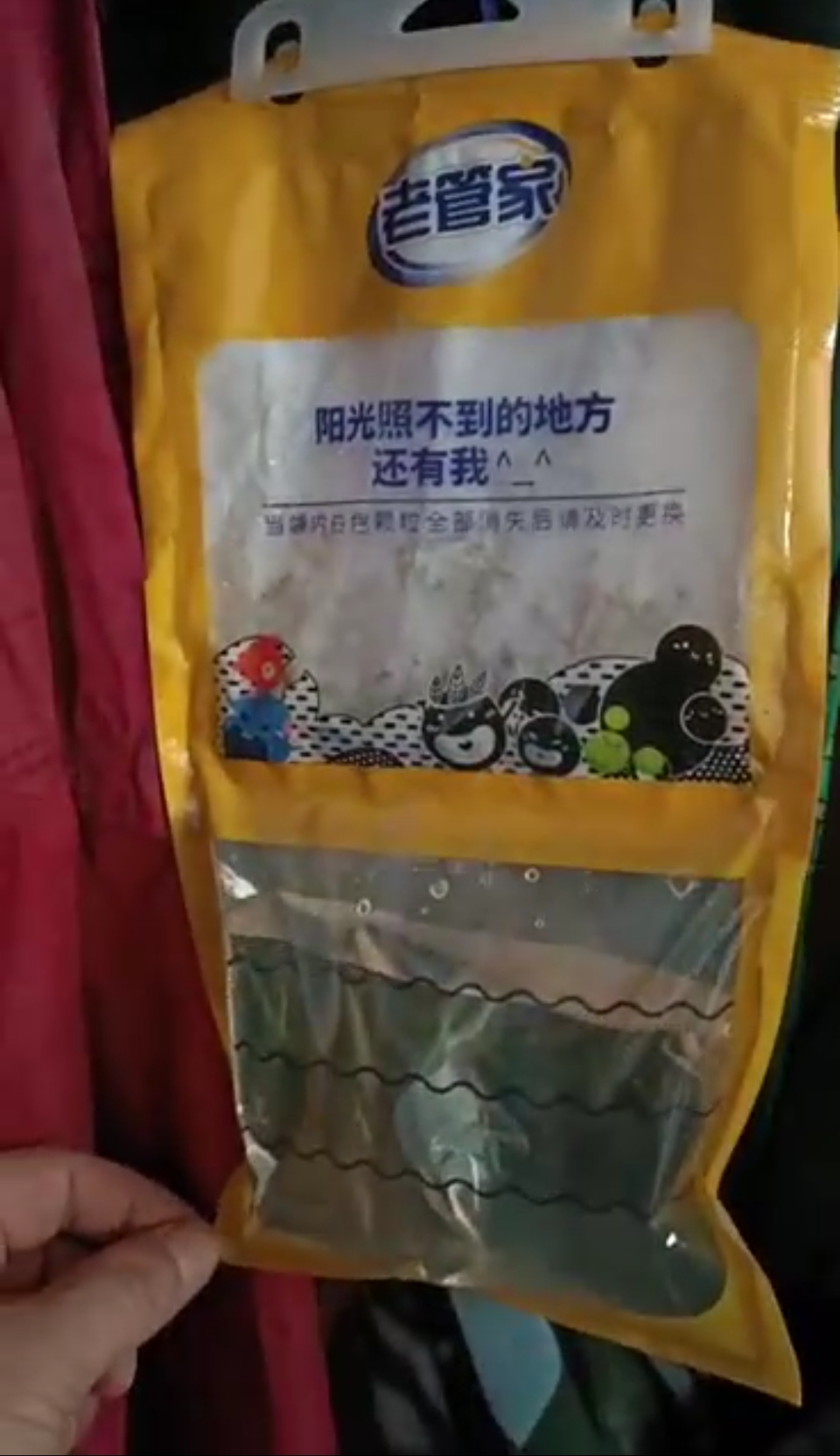 地下室里走出的研究生：一个乡村孩子的考研逆袭之路