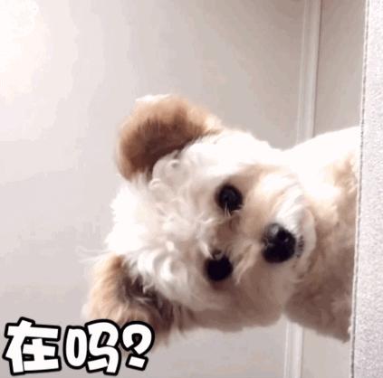 租房找一楼是不是不太好,租房到最高层的弊端