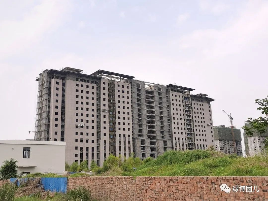 郑大三附院郑州分院,郑大三附院最新消息