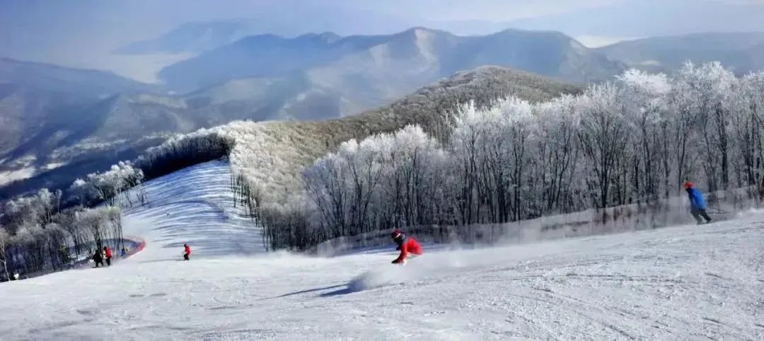 吉林多地举办活动共庆元宵节,吉林市正月十五元宵节活动