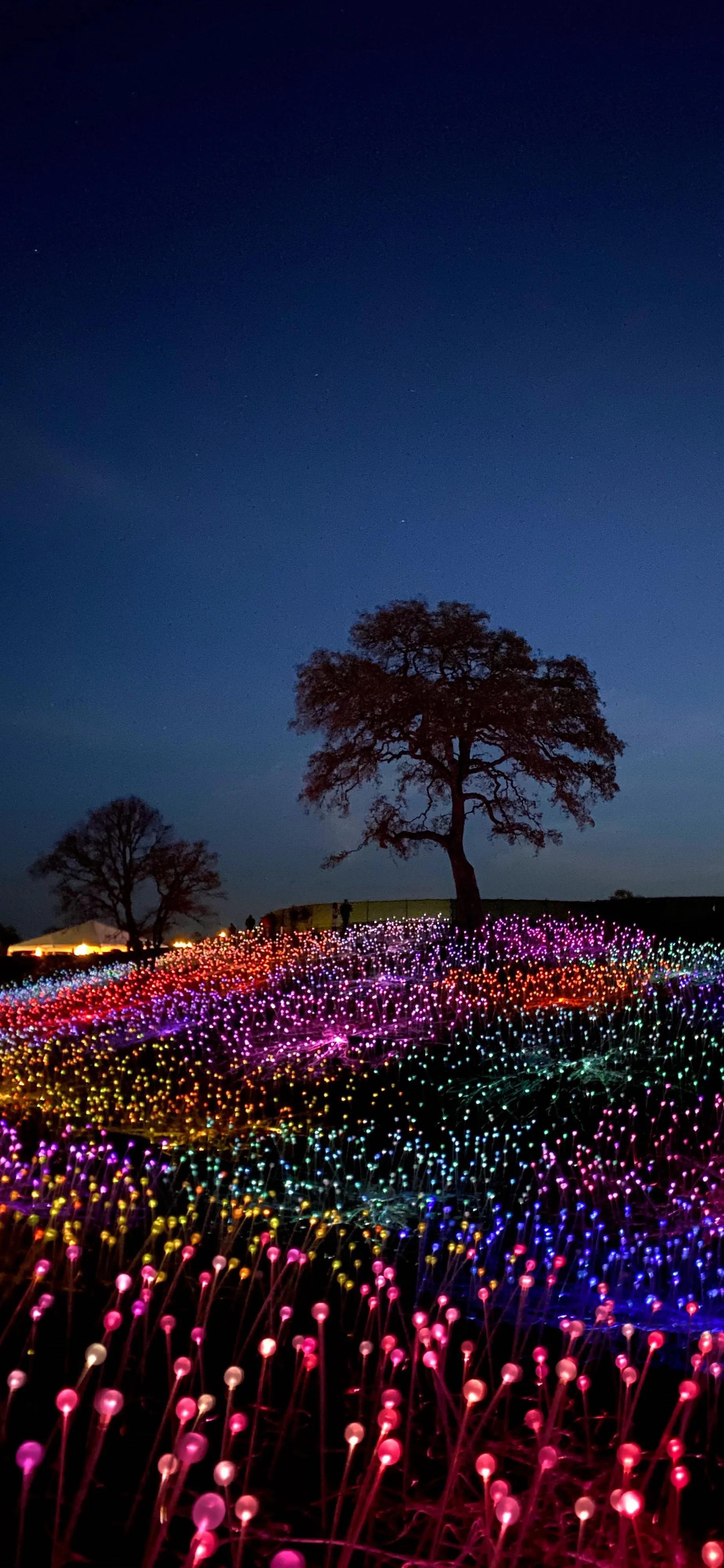 手机壁纸每一张与每一张不一样,手机壁纸各种风格