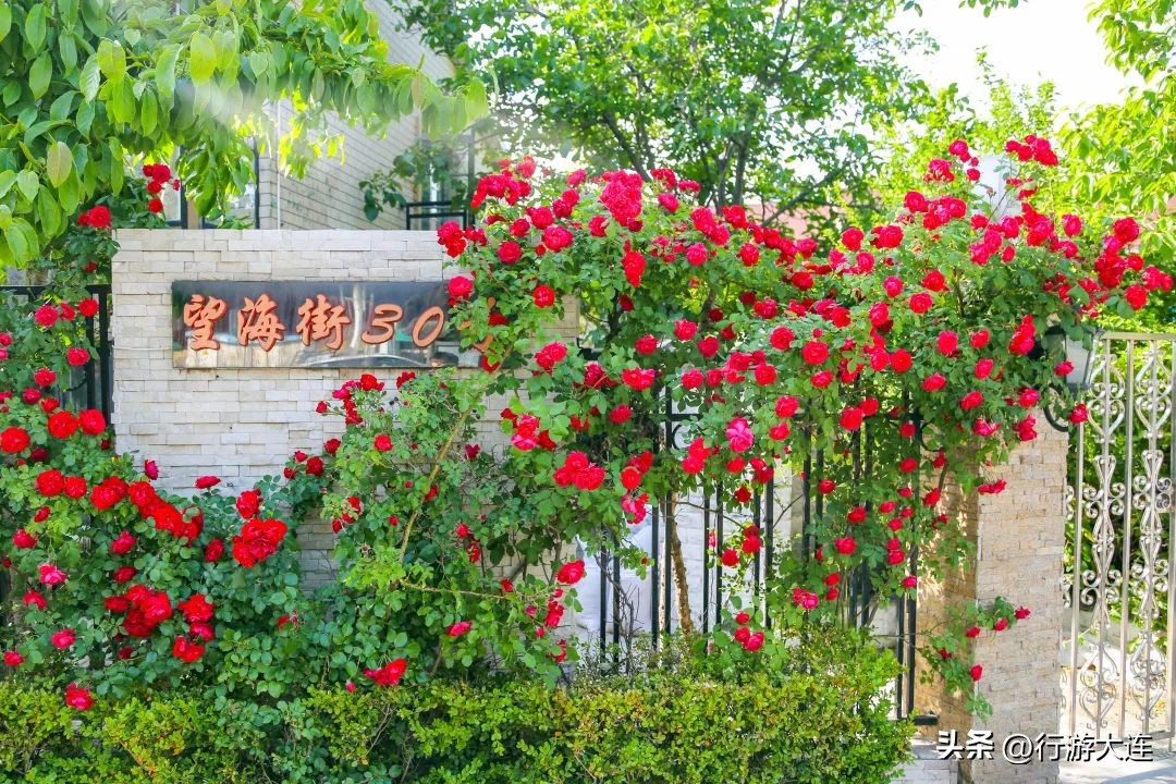 倒计时一天！十大系列休闲生活场景，品味韵味大连~