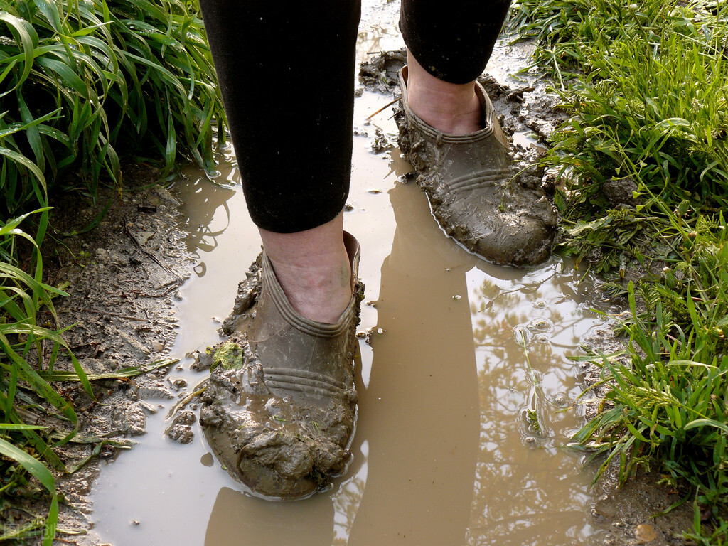 农民权益遇到纠纷怎么办,农民的权益受到侵害如何举报