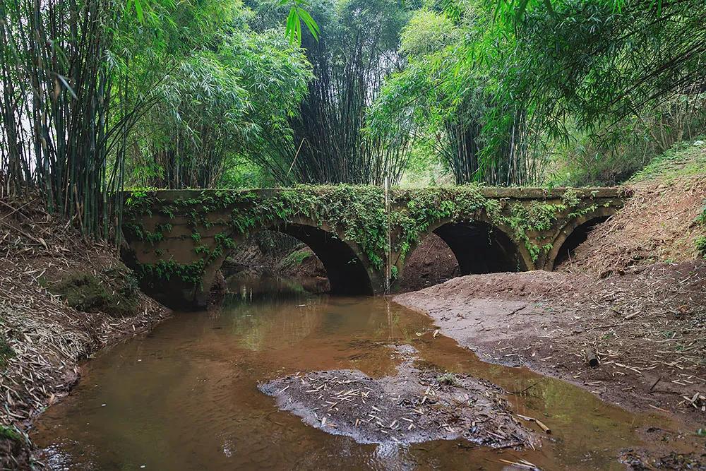 观音桥|走过路过，马鞍溪上一桥又一坊
