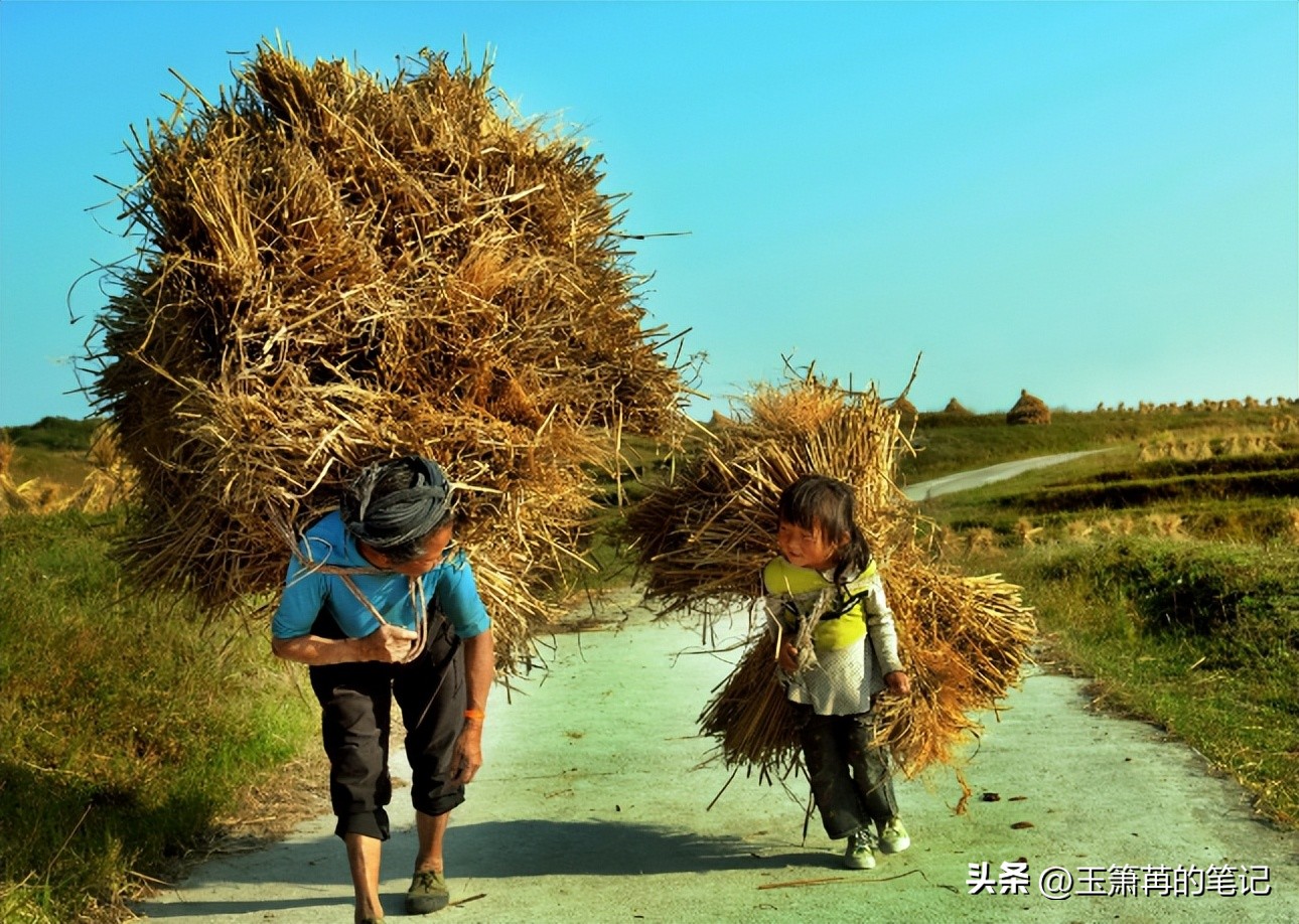 留守儿童心理辅导分析,留守儿童如何教育关爱和心理辅导